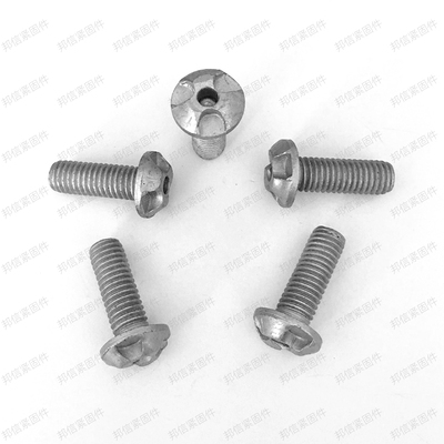 非标防盗螺钉